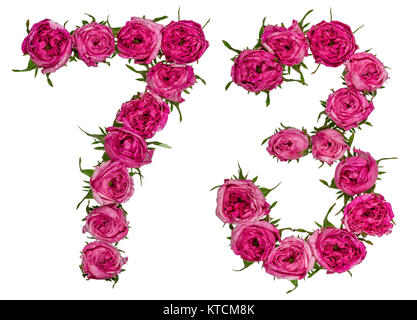 Arabische Zahlen 73, 70 drei, von roten Blüten der Rose, auf weißem Hintergrund Stockfoto