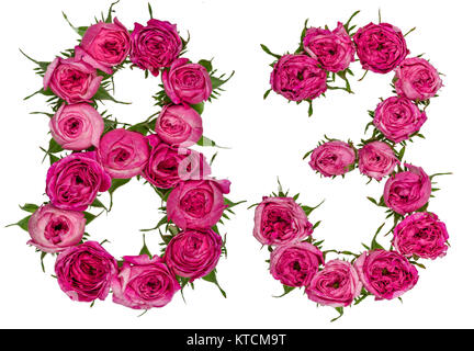 Arabische Zahlen 83, 80 drei, von roten Blüten der Rose, auf weißem Hintergrund Stockfoto