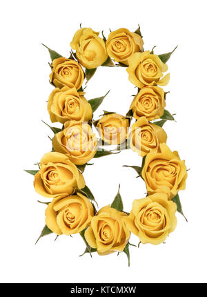 Arabische Zahl 8, acht, aus gelben Blüten von Rose, auf weißem Hintergrund Stockfoto