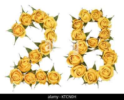 Arabische Zahlen 28, 28, von gelben Blumen aus Rose, auf weißem Hintergrund Stockfoto