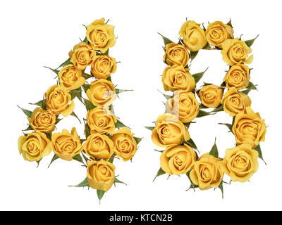 Arabische Zahlen 48, 48, von gelben Blumen aus Rose, auf weißem Hintergrund Stockfoto