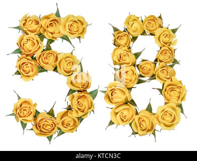 Arabische Zahlen 58, 58, von gelben Blumen aus Rose, auf weißem Hintergrund Stockfoto
