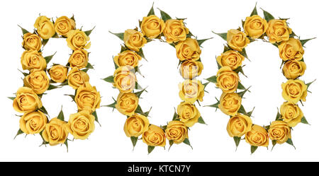 Arabische Zahlen 800, 800, von gelben Blumen aus Rose, auf weißem Hintergrund Stockfoto