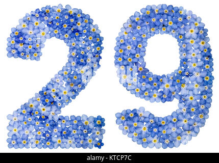 Arabische Zahlen 29, 29, von den blauen Vergißmeinnicht Blumen, auf weißem Hintergrund Stockfoto