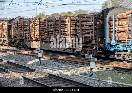 Ein mit Holz beladener Güterzug, der an einem sonnigen Tag an einem Bahnhof ankommt und die Logistik des Holztransports demonstriert Stockfoto