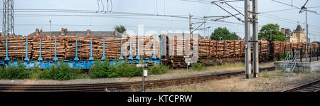 Ein langer Güterzug mit Holz auf Eisenbahngleisen unter bewölktem Himmel. Stockfoto