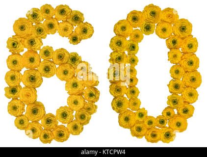 Arabische Zahlen 60, 60, von gelben Blumen der Hahnenfuß, auf weißem Hintergrund Stockfoto