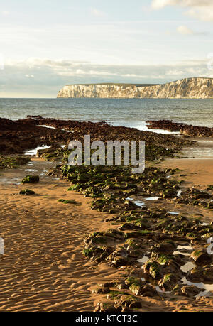 Felsen und Klippen am Strand auf der Insel Wight Küste oder Seashore in Compton Bay. Felsige und zerklüftete Küste bei Ebbe. Stockfoto