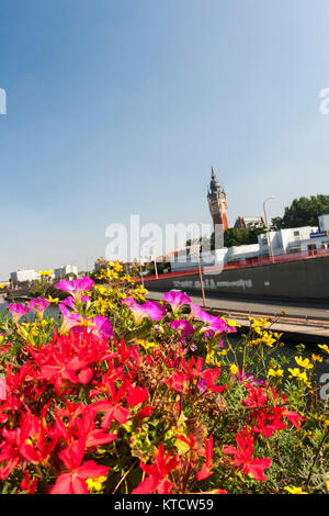 Garten vor Calais Rathaus, Calais, Frankreich, Europa Stockfoto