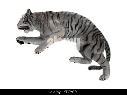 3D-Rendering White Tiger auf Weiß Stockfoto