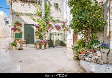 Malerische Anblick in Monopoli, Provinz Bari, Apulien, Süditalien. Stockfoto