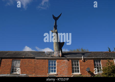 Oxford, Großbritannien - 11 April 2015: Der headington Shark Stockfoto