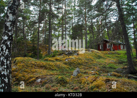 Rote Häuser in den Wald auf Grinda Insel in der Nähe von Stockholm Stockfoto