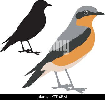 Redstart vogel Vektor-illustration Flat Style schwarze Silhouette eingestellt Stock Vektor