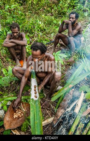 ONNI DORF, Neuguinea, Indonesien - Juni 24: Korowai Mann schlägt es gekocht sago Worms. Zeigt die Larven Würmer sago Palm. Korowai Stamm (Kombai, Kolufo Stockfoto