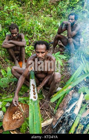 ONNI DORF, Neuguinea, Indonesien - Juni 24: Korowai Mann schlägt es gekocht sago Worms. Zeigt die Larven Würmer sago Palm. Korowai Stamm (Kombai, Kolufo Stockfoto