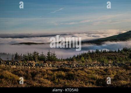 Hanglage mit Blick auf das Tal im Nebel eingehüllt Stockfoto