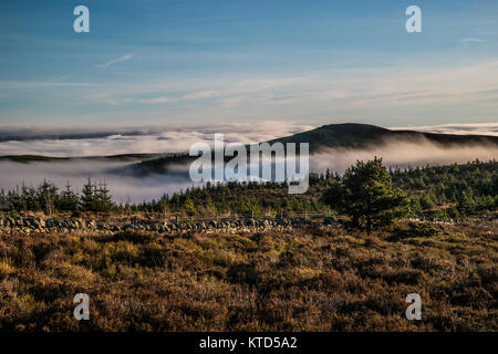 Hanglage mit Blick auf das Tal im Nebel eingehüllt Stockfoto