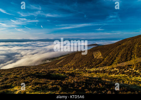 Hanglage mit Blick auf das Tal im Nebel eingehüllt Stockfoto