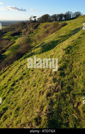 Abendsonne auf westliche Stadtmauer von Cadbury Castle Hill Fort, South Somerset Stockfoto