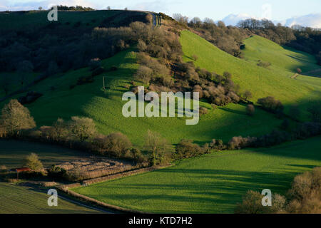 Abendsonne auf charwell Feld & Whitcombe von Cadbury Castle Stockfoto