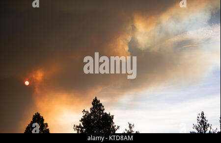 Waberndem Rauch steigt aus einem unkontrollierten Waldbrand in National Forest Land Stockfoto