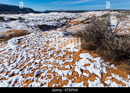 Dünenlandschaft nach einem Frühling Schneefall in Coral Pink Sand Dunes State Park, Utah, USA Stockfoto