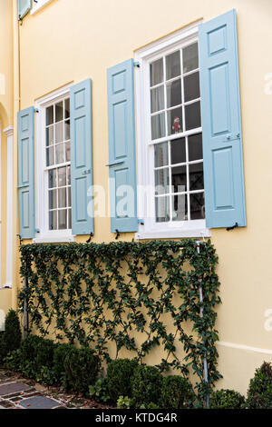 Reben dekorieren eine gelbe Wand an einem historischen Haus entlang der King Street in Charleston, SC. Stockfoto