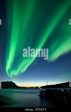 Aurora Borealis, Nordlichter über Astafjorden, Ratangen, Troms, Norwegen Stockfoto