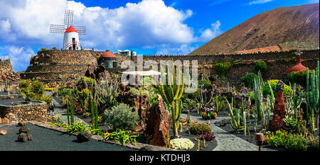 Schöne Kakteen Garten, beliebte Jardin in Insel Lanzarote, Kanarische Inseln, Spanien. Stockfoto