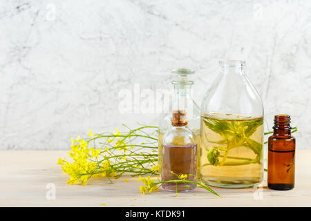 Flaschen mit Tinkturen oder Öl von Heilpflanzen und wilden Blumen. Die Kräutermedizin. Stockfoto