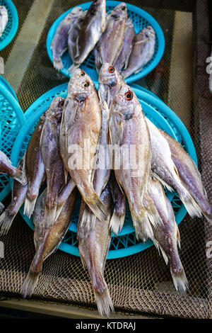 Getrocknete Fische zum Verkauf an das lokale Dorf in Busan, Korea. Stockfoto