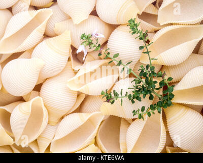 Nahaufnahme von Pasta Muscheln und Zweig tyme mit der Zeit Blumen Stockfoto
