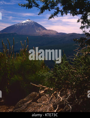 Berg Tiede in der Flut National Park, Teneriffa, Kanarische Inseln, Spanien, Europa Stockfoto