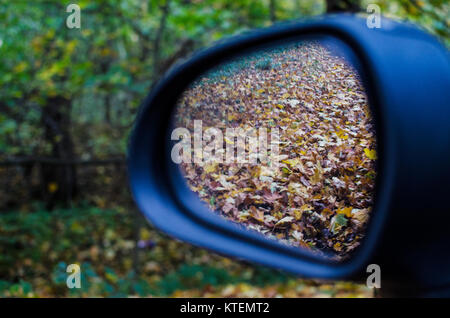 Farbige Herbst im Rückspiegel. Stockfoto