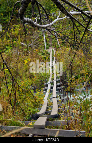 Wackelig, baufällige hölzerne Hängebrücke über die bewachsenen Berg River Gorge Stockfoto