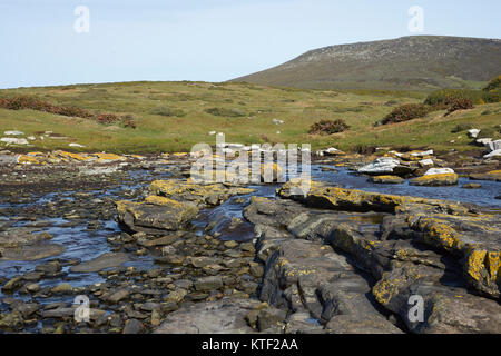 Reste der historischen Siedlung am Port Egmont auf den Falklandinseln zurückgehend bis 1765. Stockfoto