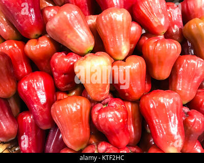 Reifen köstliche thailändische Äpfel. Studio Foto Stockfoto