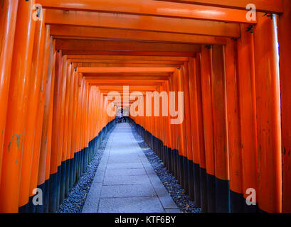 Torii Gates in Fushimi Inari Schrein in Kyoto, Japan. Fushimi Heiligtum für den Gott des Reis und Willen im 8. Jahrhundert gewidmet. Stockfoto