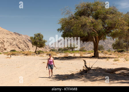 Zu Fuß in die trockene Bett des Hoanib Flusses, Norden Namibias. Stockfoto