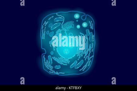 Tier die menschliche Zelle Struktur pädagogischen Wissenschaft. Mikroskop 3d-Kern eukaryotischen Organell Medizin Technologie Analyse. Leuchtende blaue Biologie poster Vorlage isoliert Line Art Vector Illustration Stock Vektor