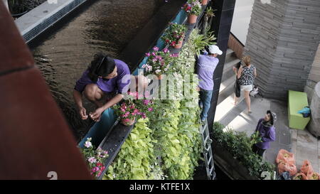 Arbeiter Gärtner Dekoration Laden vor einem Einkaufszentrum mit Blumen Pattaya Thailand Stockfoto