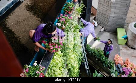 Arbeiter Gärtner Dekoration Laden vor einem Einkaufszentrum mit Blumen Pattaya Thailand Stockfoto