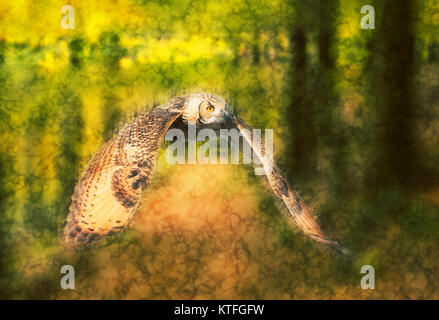 Digital verbesserte Bild der Eule im Flug in einem Wald mit Flügel Stockfoto