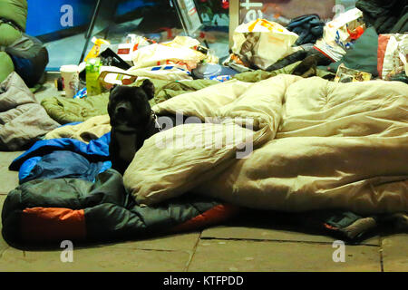 King William Street. London. UK 24. Dez 2017 - ein Hund neben einem Mann schläft zwischen den Geschäften der King William Street in Central London am Heiligabend. Nach Krise, einem führenden Liebe, mehr als 9.000 Menschen aufwachen, am Weihnachtstag in Zelten, Autos, Züge und Busse als Ergebnis von Wohnungslosigkeit Krise Kredit des UK: Dinendra Haria/Alamy leben Nachrichten Stockfoto