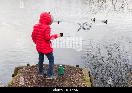 Rückansicht der Frau das Tragen der roten Mantel mit Kolben von Tee Fütterung Enten und Schwäne auf dem See. Großbritannien Stockfoto