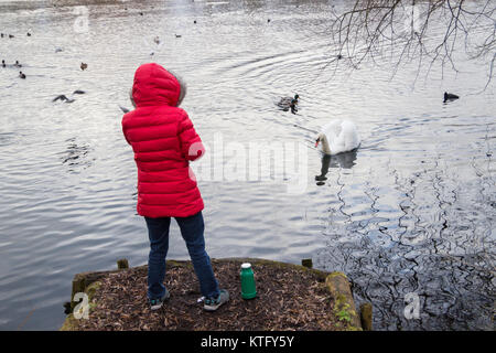 Rückansicht der Frau das Tragen der roten Mantel mit Kolben von Tee Fütterung Enten und Schwäne auf dem See. Großbritannien Stockfoto