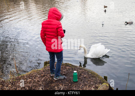 Rückansicht der Frau das Tragen der roten Mantel mit Kolben von Tee Fütterung Enten und Schwäne auf dem See. Großbritannien Stockfoto