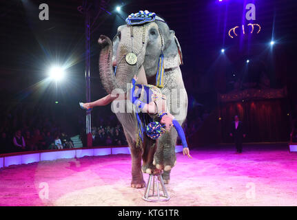 München, Deutschland. 25 Dez, 2017. Jana Lacey-Krone durchführen mit einem Elefanten bei der Premiere der Winter Programm des Circus Krone in München, Deutschland, 25. Dezember 2017. Quelle: Tobias Hase/dpa/Alamy leben Nachrichten Stockfoto