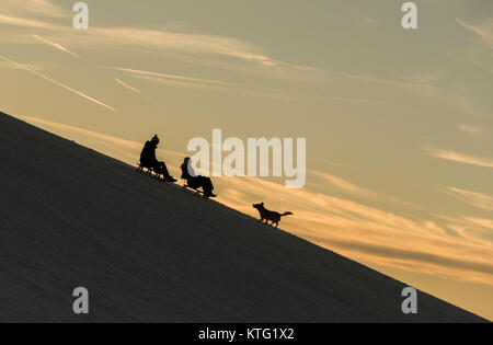 Horben, Deutschland. 25 Dez, 2017. Ein paar mit Hund beim Bergabfahren auf Schlitten in der Nähe von Horben, Deutschland, 25. Dezember 2017. Quelle: Patrick Seeger/dpa/Alamy leben Nachrichten Stockfoto